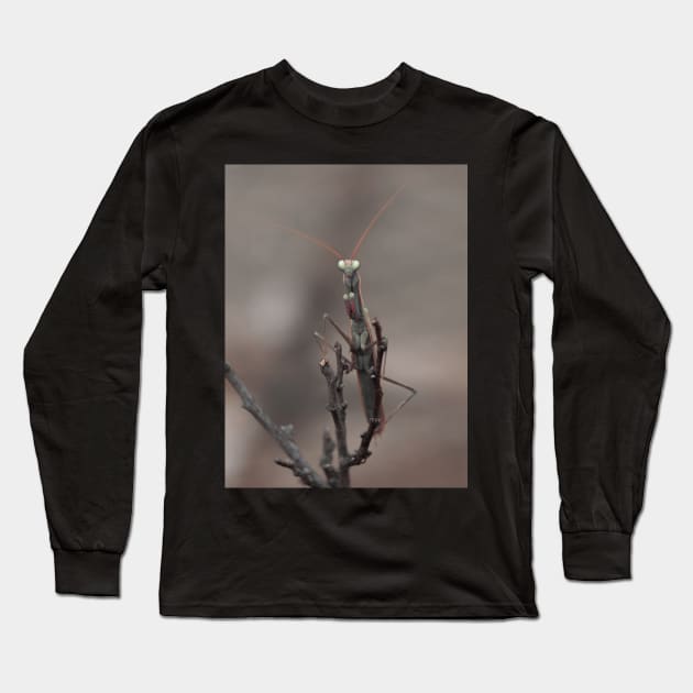 praying mantis Long Sleeve T-Shirt by bunlinked